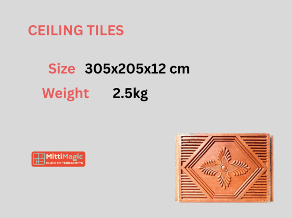 Ceiling tiles (305x205mmx12mm)